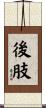 後肢 Scroll