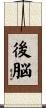 後脳 Scroll