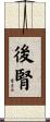 後腎 Scroll
