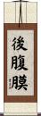 後腹膜 Scroll