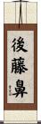 後藤鼻 Scroll