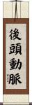 後頭動脈 Scroll