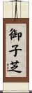御子芝 Scroll