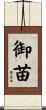 御苗 Scroll