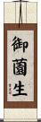 御薗生 Scroll