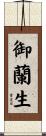 御蘭生 Scroll