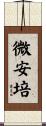 微安培 Scroll