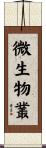 微生物叢 Scroll