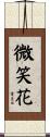 微笑花 Scroll