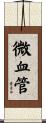 微血管 Scroll