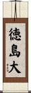 徳島大 Scroll