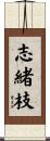 志緒枝 Scroll