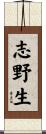 志野生 Scroll