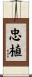 忠植 Scroll