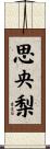 思央梨 Scroll