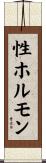 性ホルモン Scroll