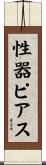 性器ピアス Scroll