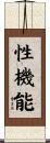 性機能 Scroll
