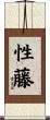 性藤 Scroll