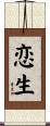 恋生 Scroll