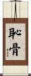 恥骨 Scroll