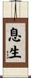 息生 Scroll