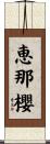 恵那櫻 Scroll
