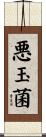 悪玉菌 Scroll