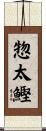 惣太鰹 Scroll
