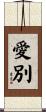 愛別 Scroll