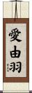 愛由羽 Scroll