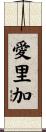 愛里加 Scroll