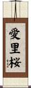 愛里桜 Scroll