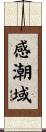 感潮域 Scroll
