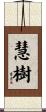 慧樹 Scroll