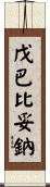 戊巴比妥鈉 Scroll
