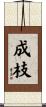 成枝 Scroll
