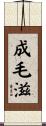 成毛滋 Scroll