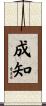 成知 Scroll
