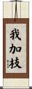 我加枝 Scroll