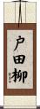 戸田柳 Scroll