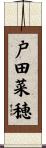 戸田菜穂 Scroll