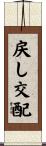戻し交配 Scroll