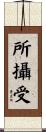 所攝受 Scroll