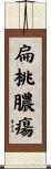 扁桃膿瘍 Scroll