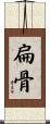 扁骨 Scroll