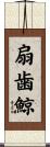 扇歯鯨 Scroll