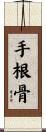 手根骨 Scroll