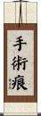 手術痕 Scroll