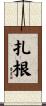 扎根 Scroll